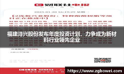 福建浔兴股份发布年度投资计划，力争成为新材料行业领先企业