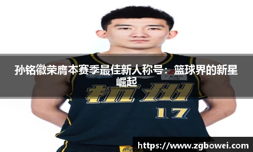 球速体育网页版登录入口