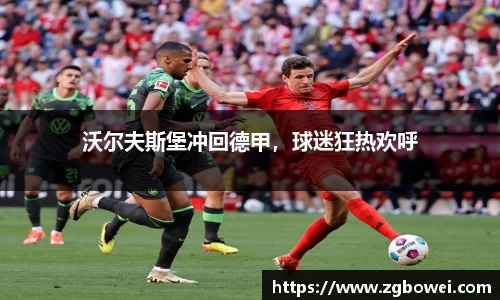 沃尔夫斯堡冲回德甲，球迷狂热欢呼