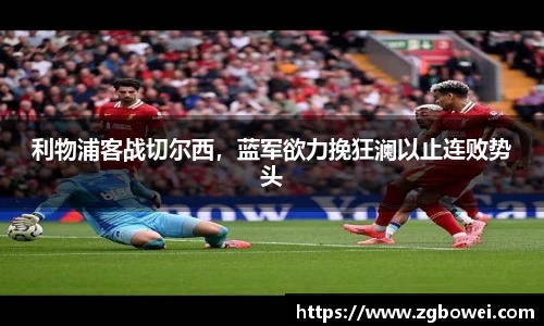 球速体育网页版登录入口