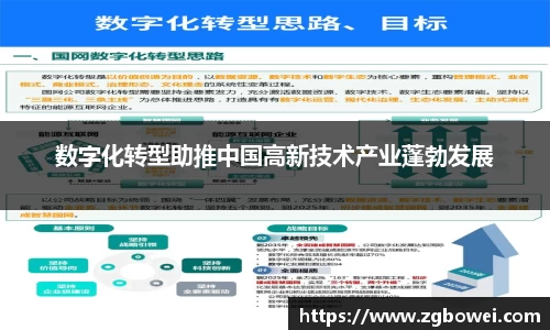 球速体育