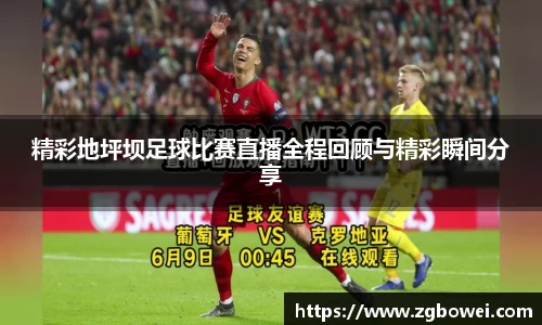 球速体育官网