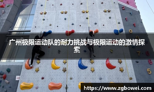 球速体育网页版登录入口