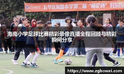 球速体育网页版登录入口