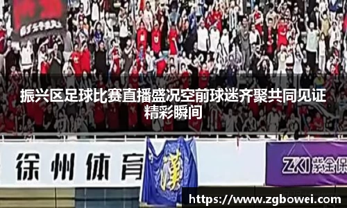 球速体育网页版登录入口