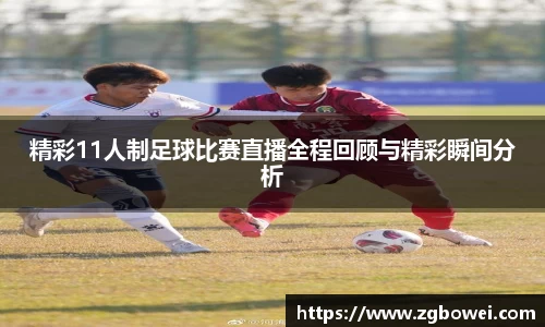 球速体育官网