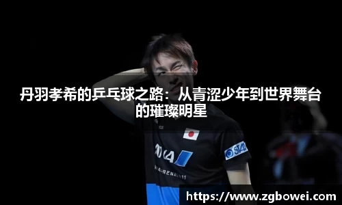 丹羽孝希的乒乓球之路：从青涩少年到世界舞台的璀璨明星